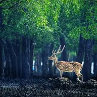 Photo of Bangladesh