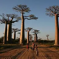 Photo of Madagascar