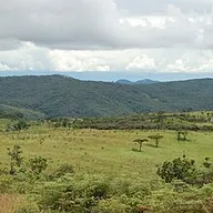 Photo of Malawi