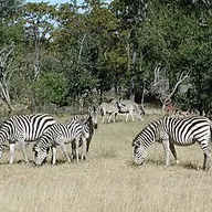 Photo of Namibia